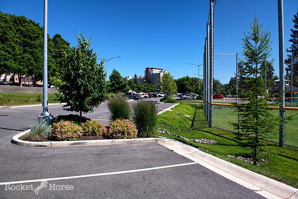 _DSC0481