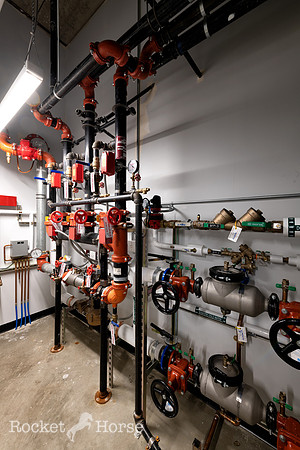 _DSC7448